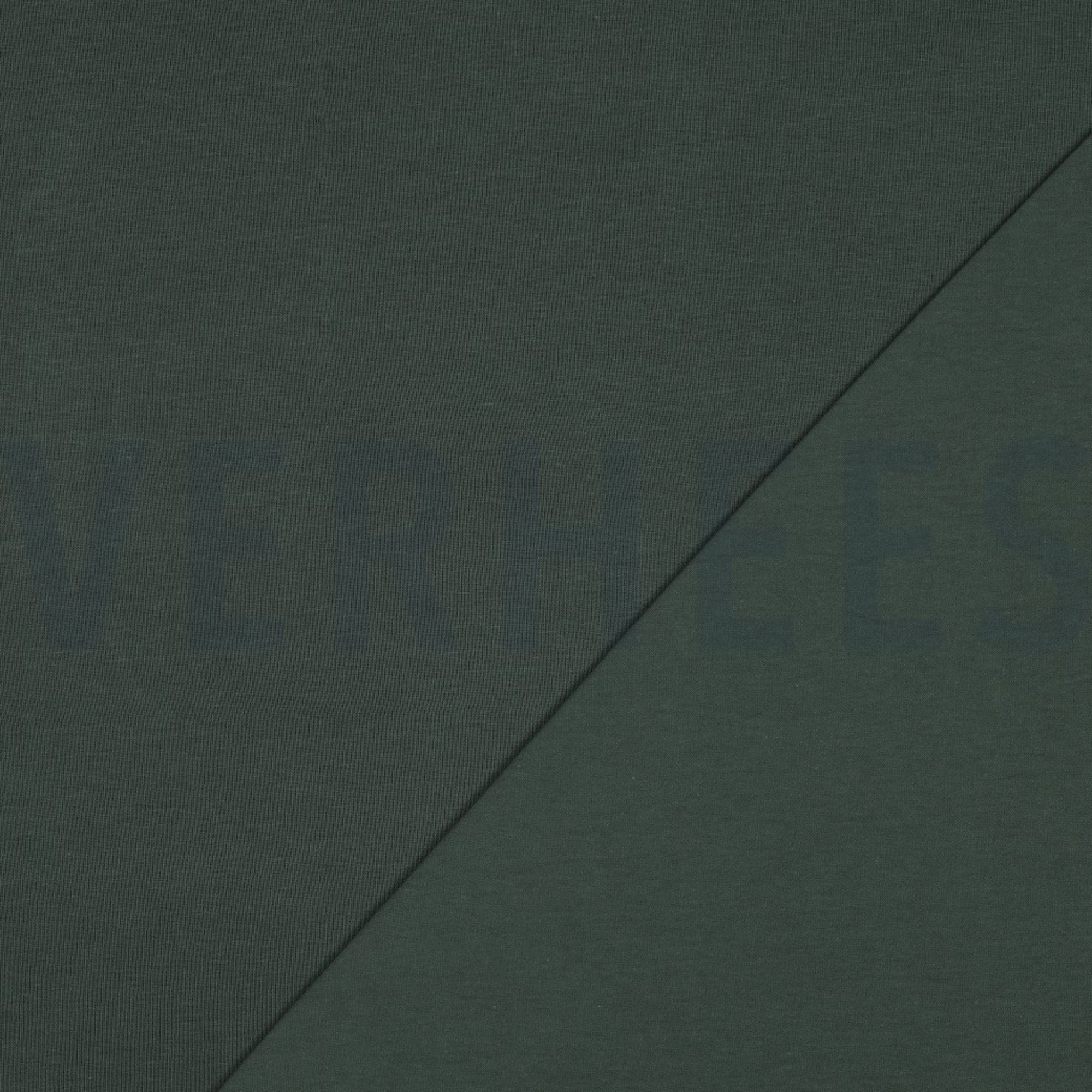 JERSEY GOTS DUNKEL WALDGRÜN (high resolution) #4