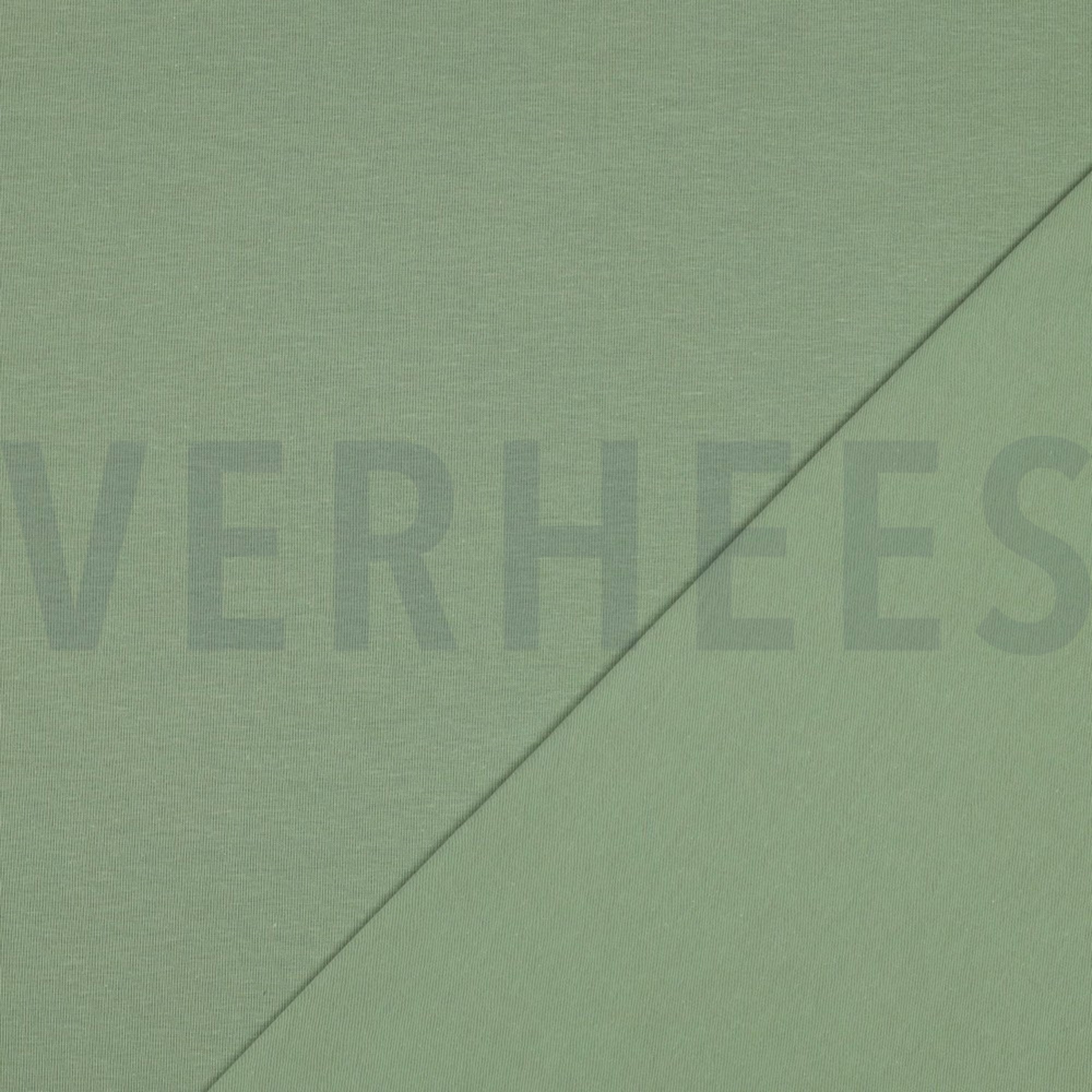 JERSEY GOTS MINTGROEN (high resolution) #4