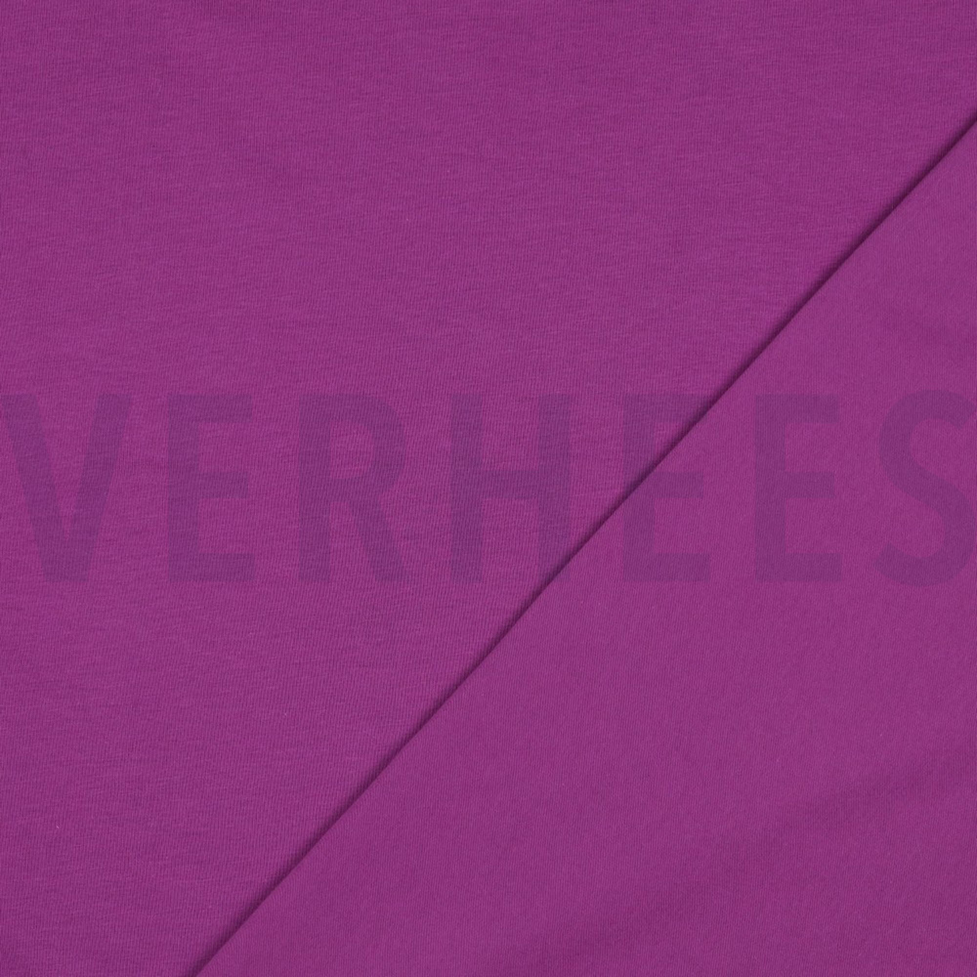 JERSEY GOTS VIOLET (high resolution) #4
