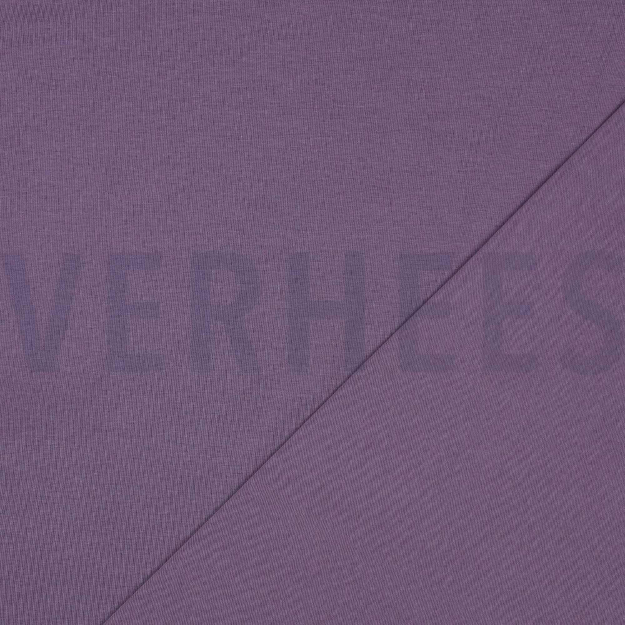 JERSEY GOTS DRUIFPAARS (high resolution) #4