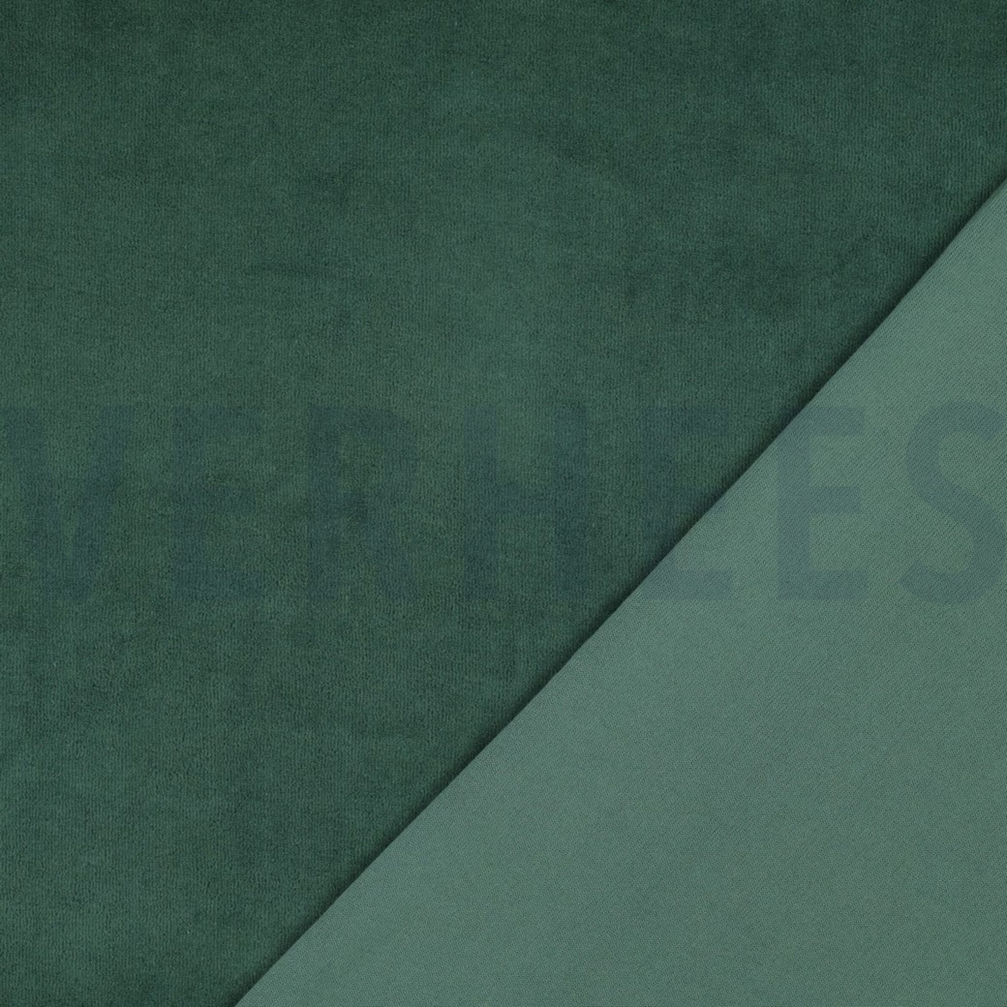 NICKY VELOURS DARK GREEN (high resolution) #4