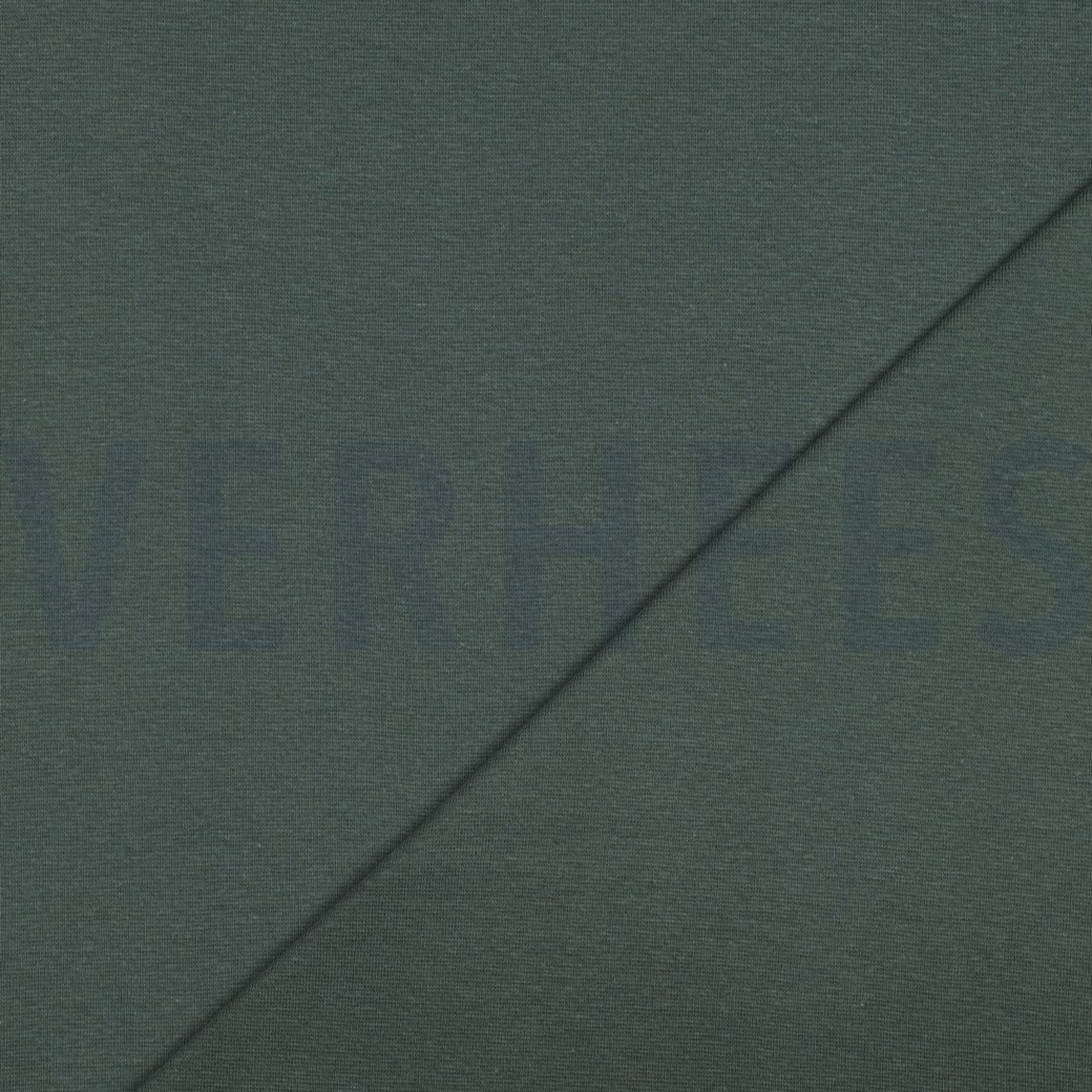 BORD-CÔTE GOTS VERT FORÊT FONCÉ (high resolution) #4