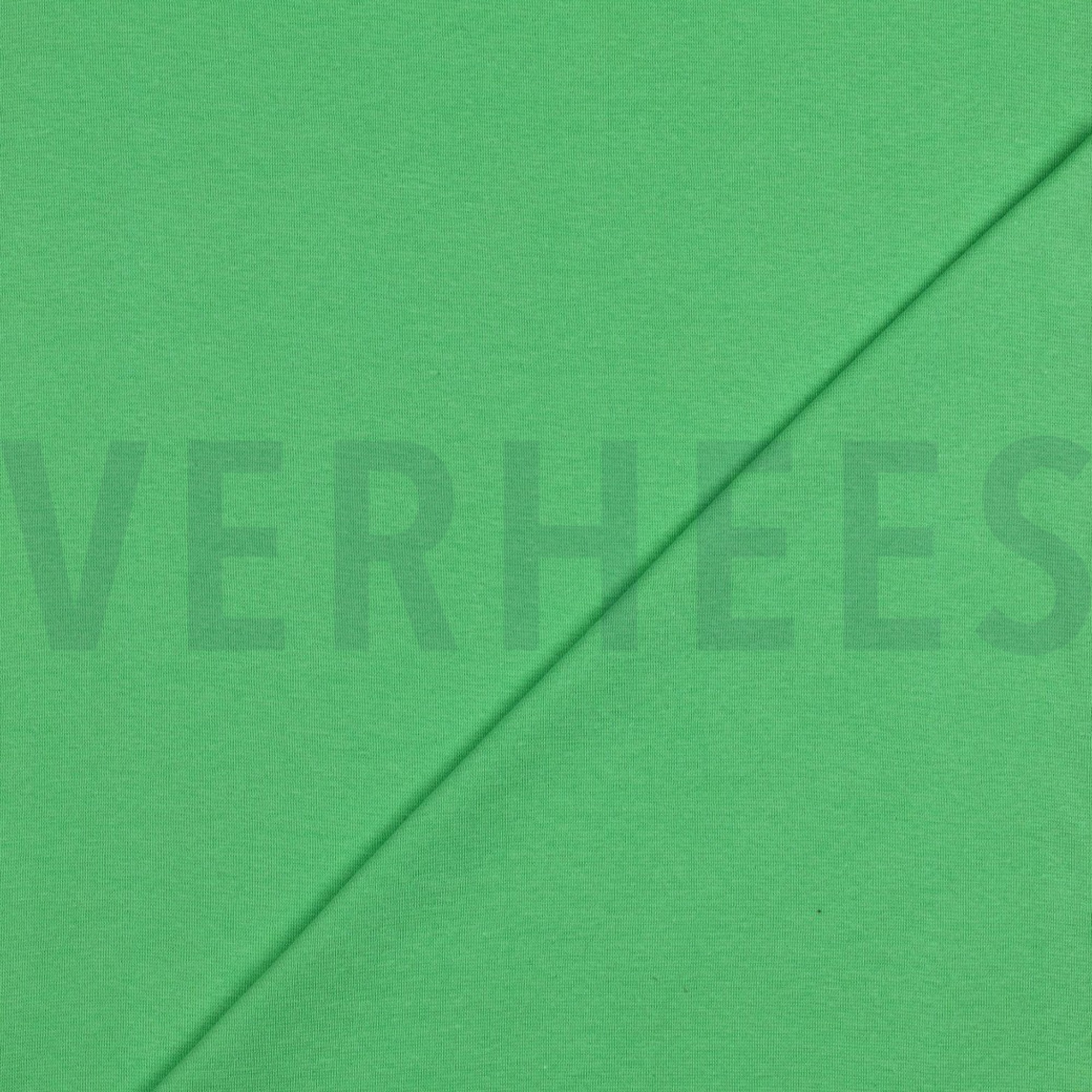 BORD-CÔTE GOTS CITRON VERT CLAIR (high resolution) #4