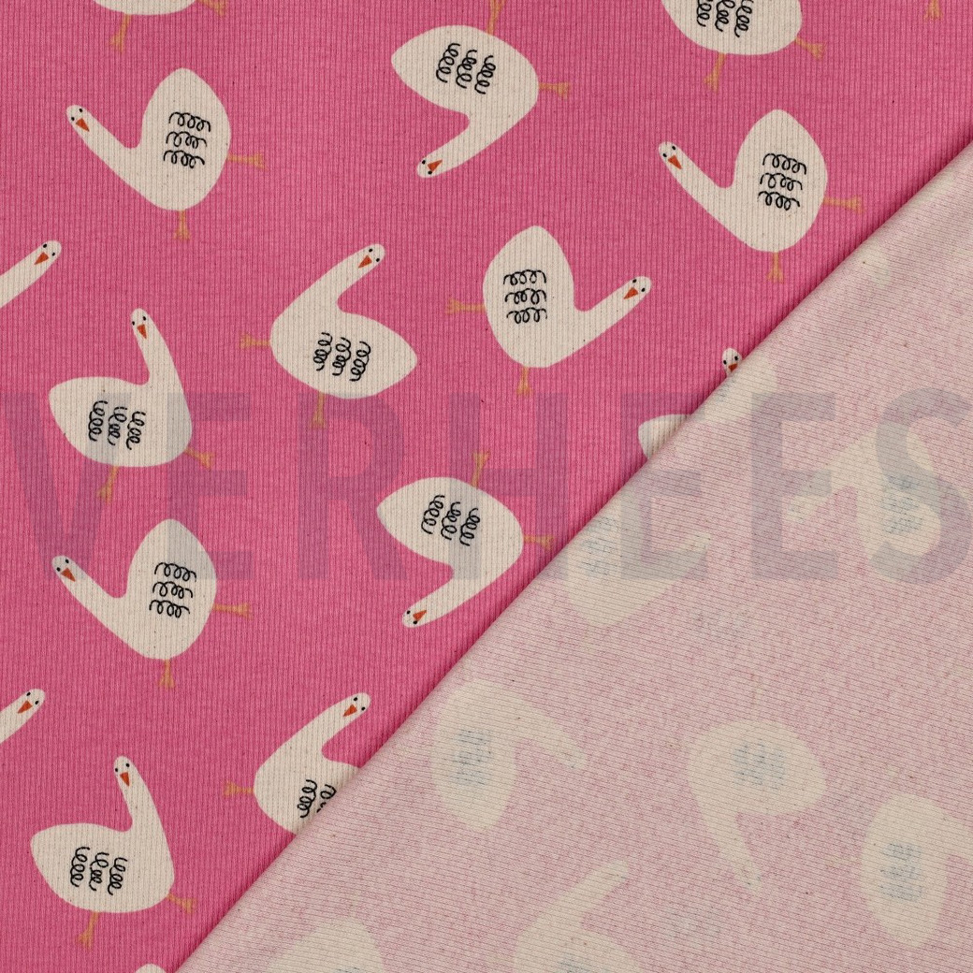 RIPPJERSEY GOTS GÄNSE JENNIFER BOURON FUCHSIA (high resolution) #4