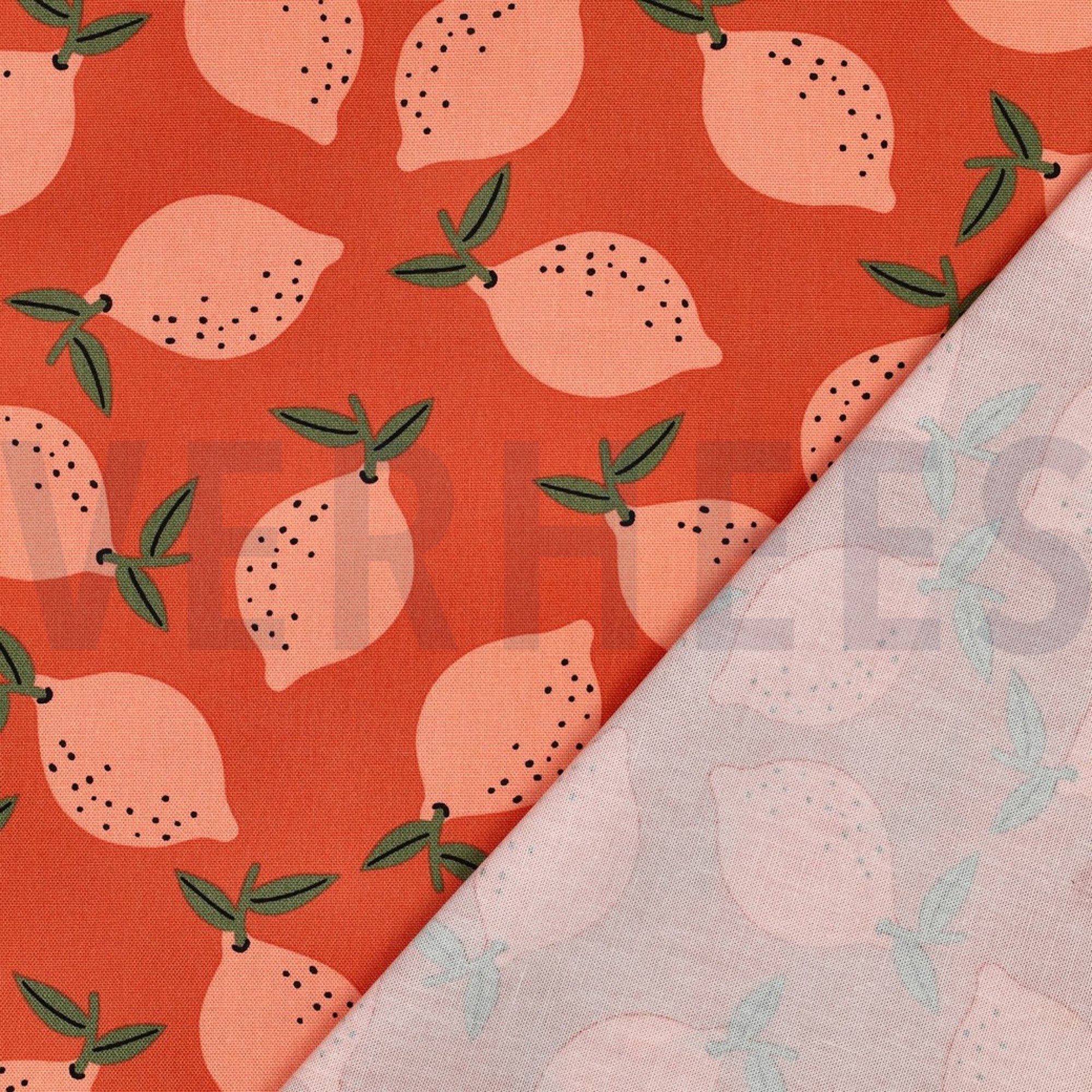 TOILE DÉCORATION FRUIT ORANGE (high resolution) #4
