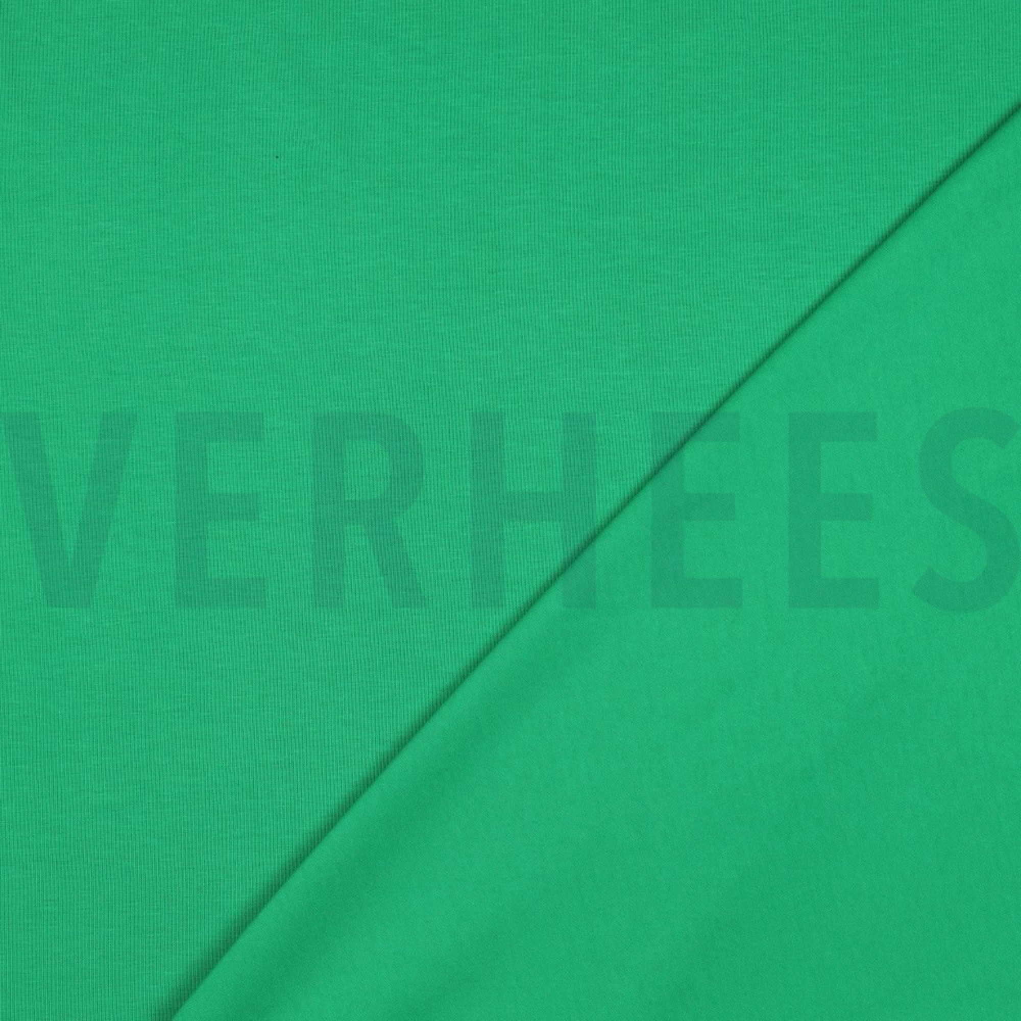 JERSEY APPEL GROEN (high resolution) #4