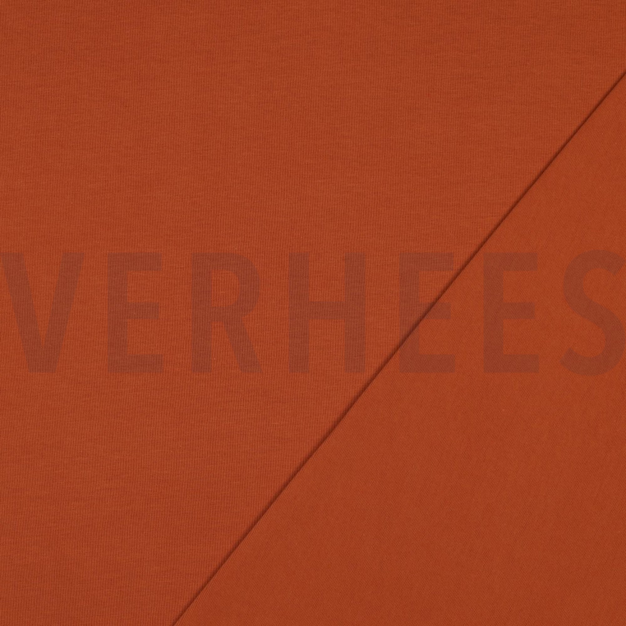 JERSEY ROEST (high resolution) #4