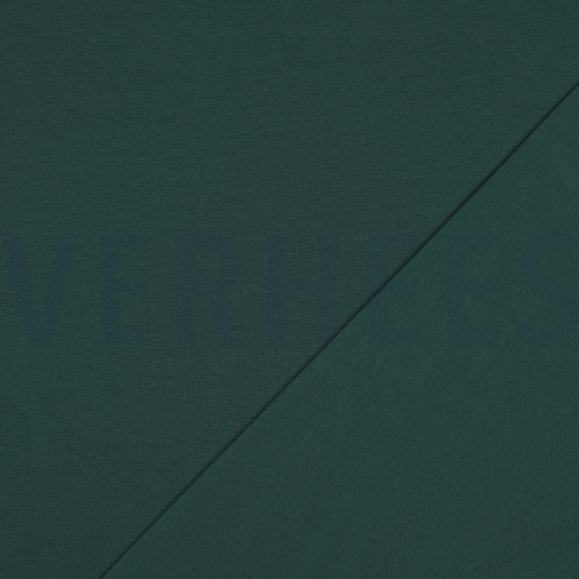 JERSEY DONKERGROEN (high resolution) #4