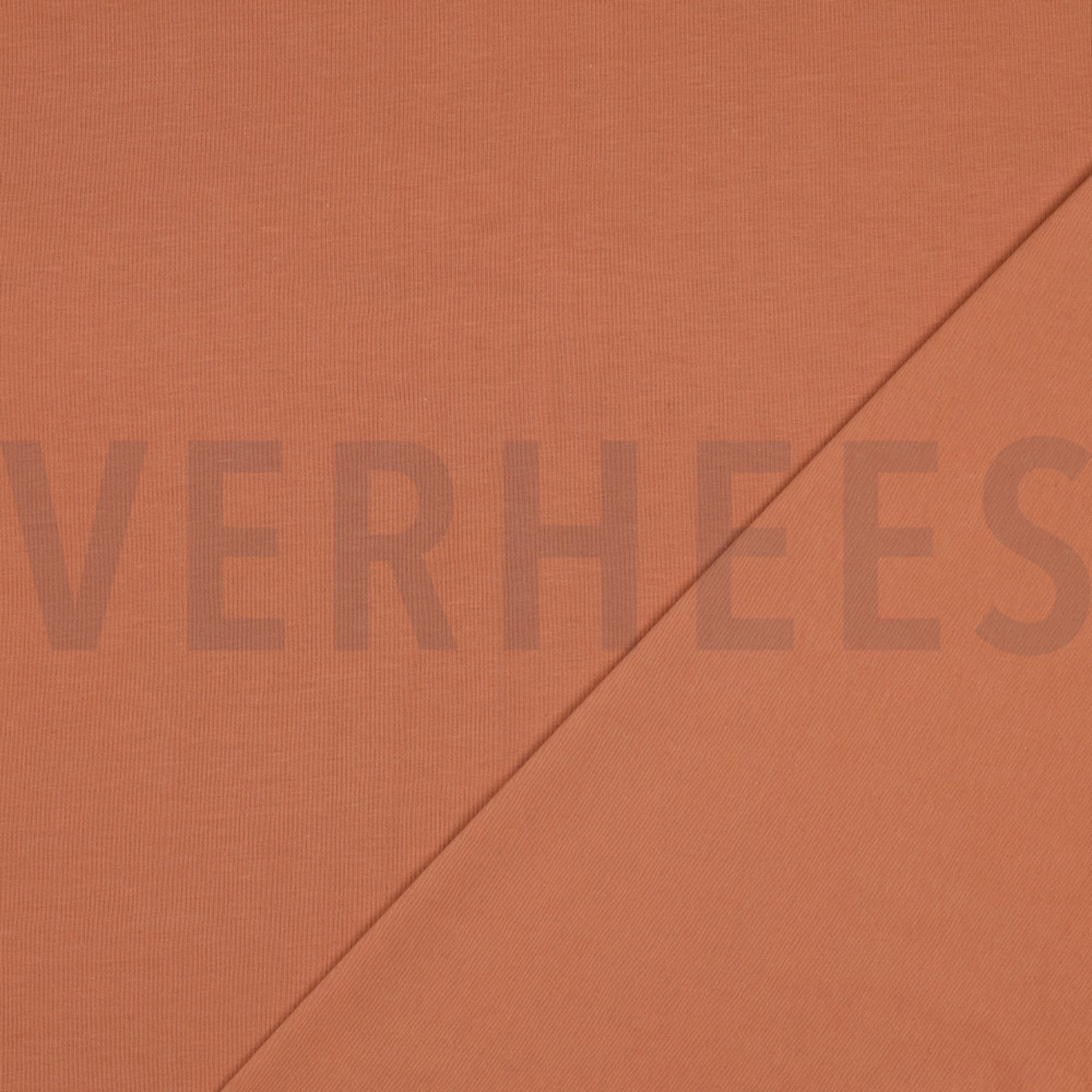 JERSEY LACHS (high resolution) #4