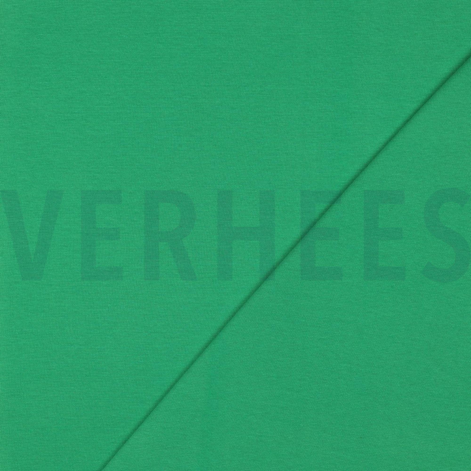 BÜNDCHEN APFELGRÜN (high resolution) #4