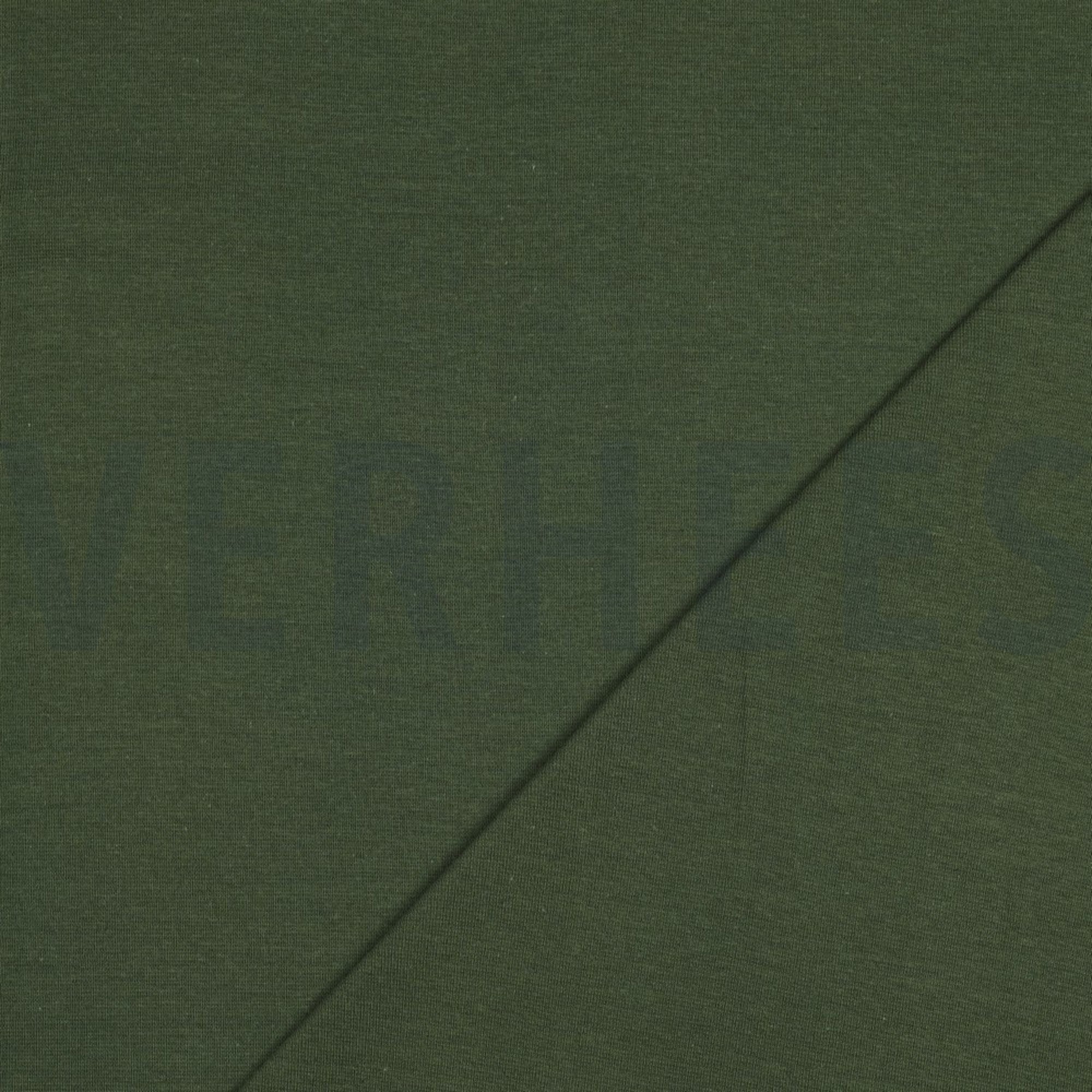 BÜNDCHEN WALDGRÜN (high resolution) #4