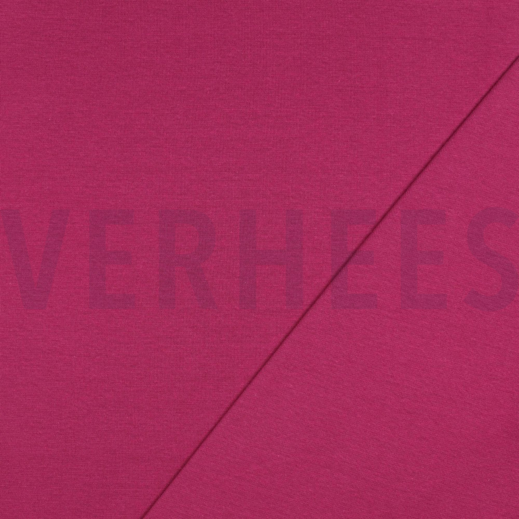 BOORDSTOF CYCLAAM (high resolution) #4