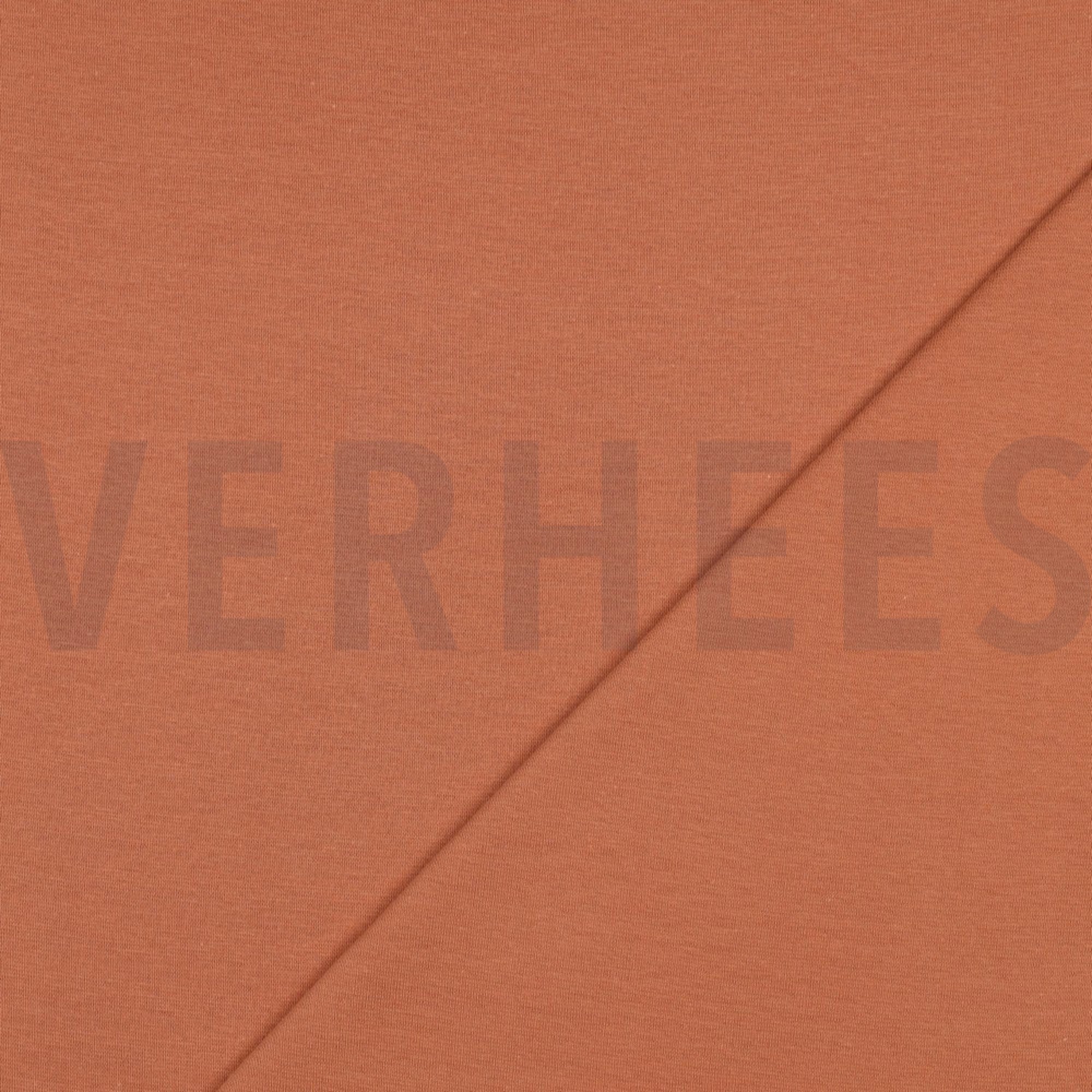 BÜNDCHEN LACHS (high resolution) #4