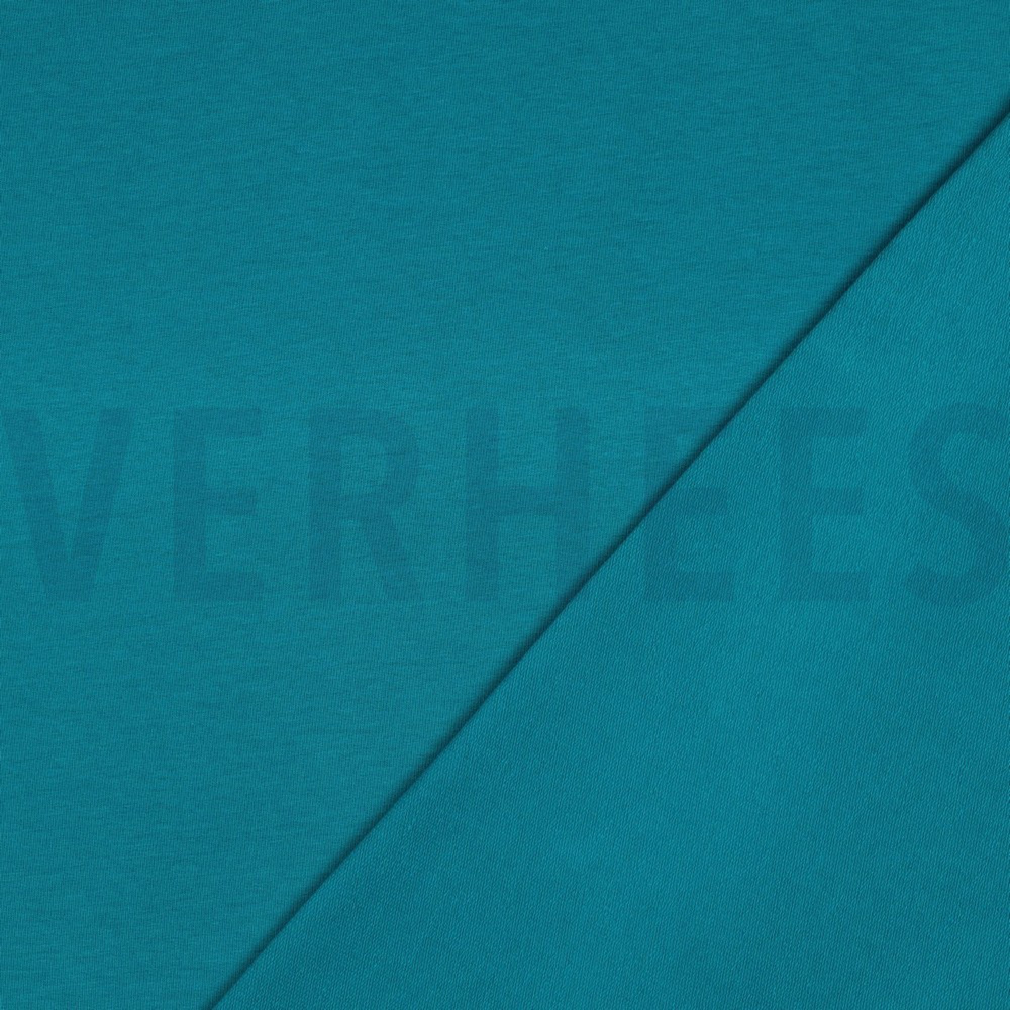 FRENCH TERRY GOTS PETROL (high resolution) #4