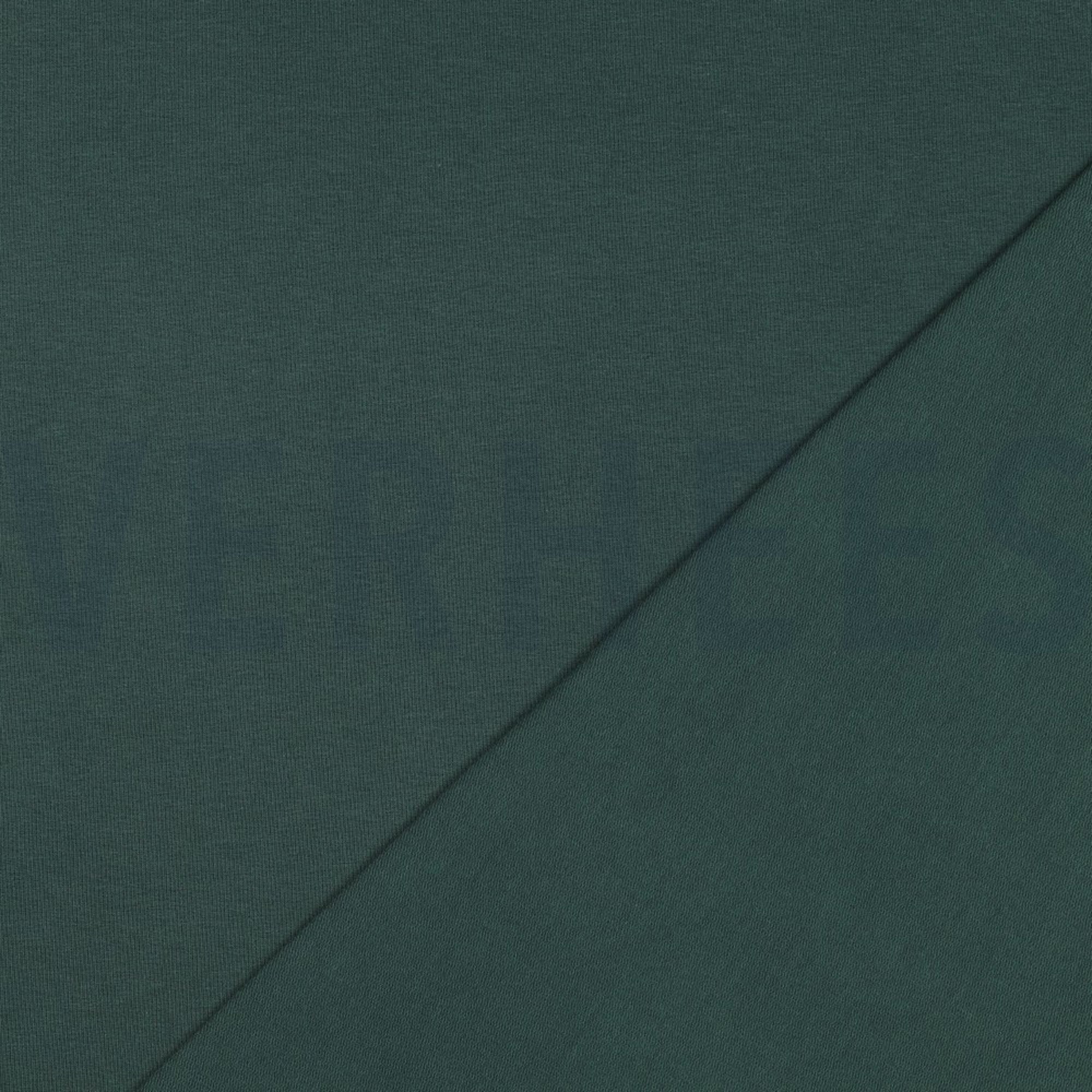 FRENCH TERRY GOTS VERT FORÊT (high resolution) #4