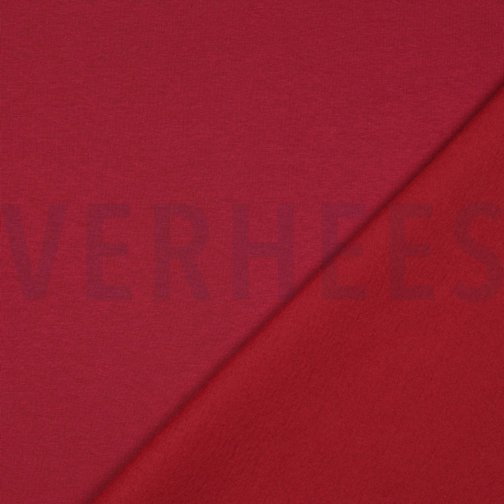 JOGGING BEERE (high resolution) #4