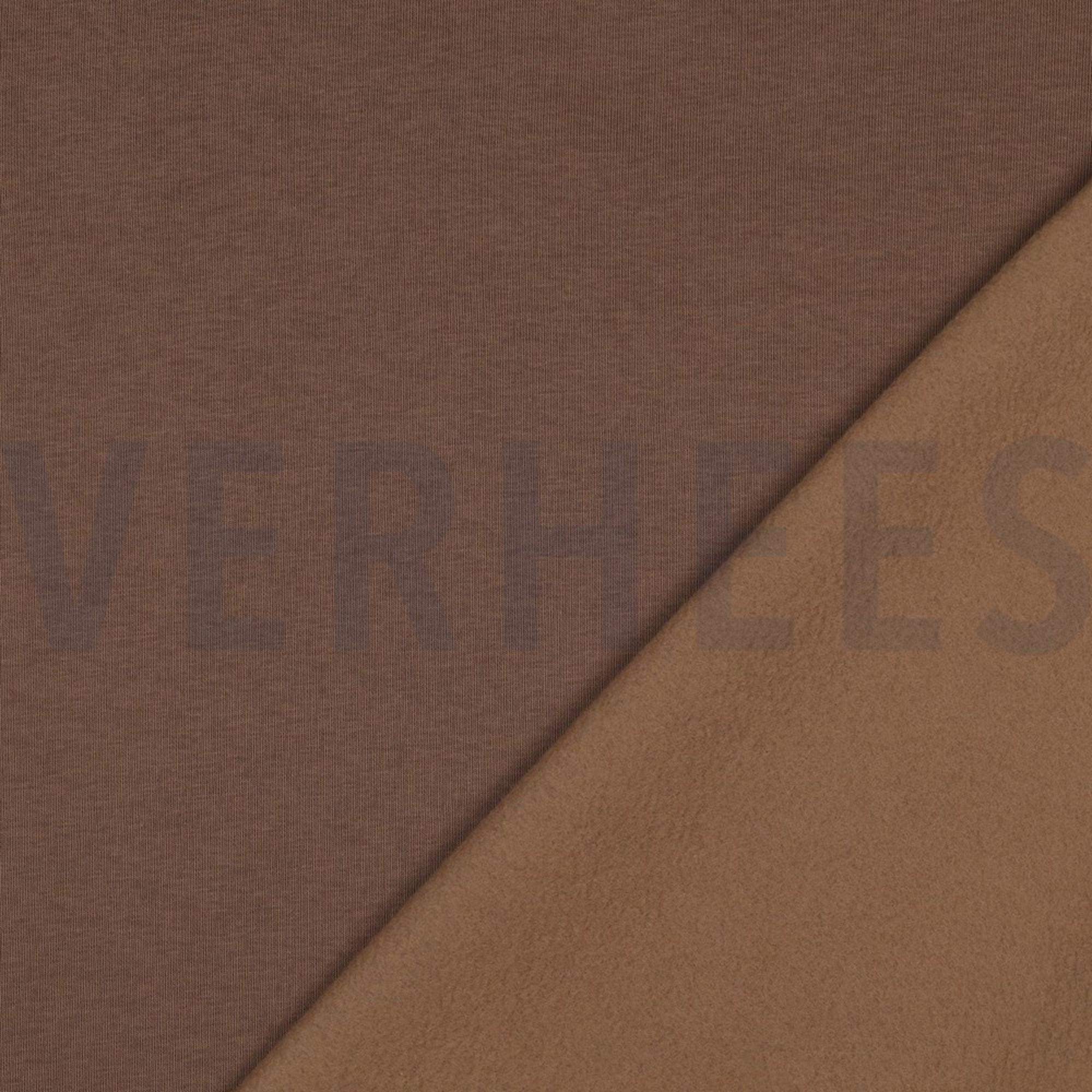 JOGGING CAMEL (high resolution) #4