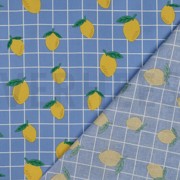 COTON ENDUIT FRUIT BLEU (thumbnail) #4
