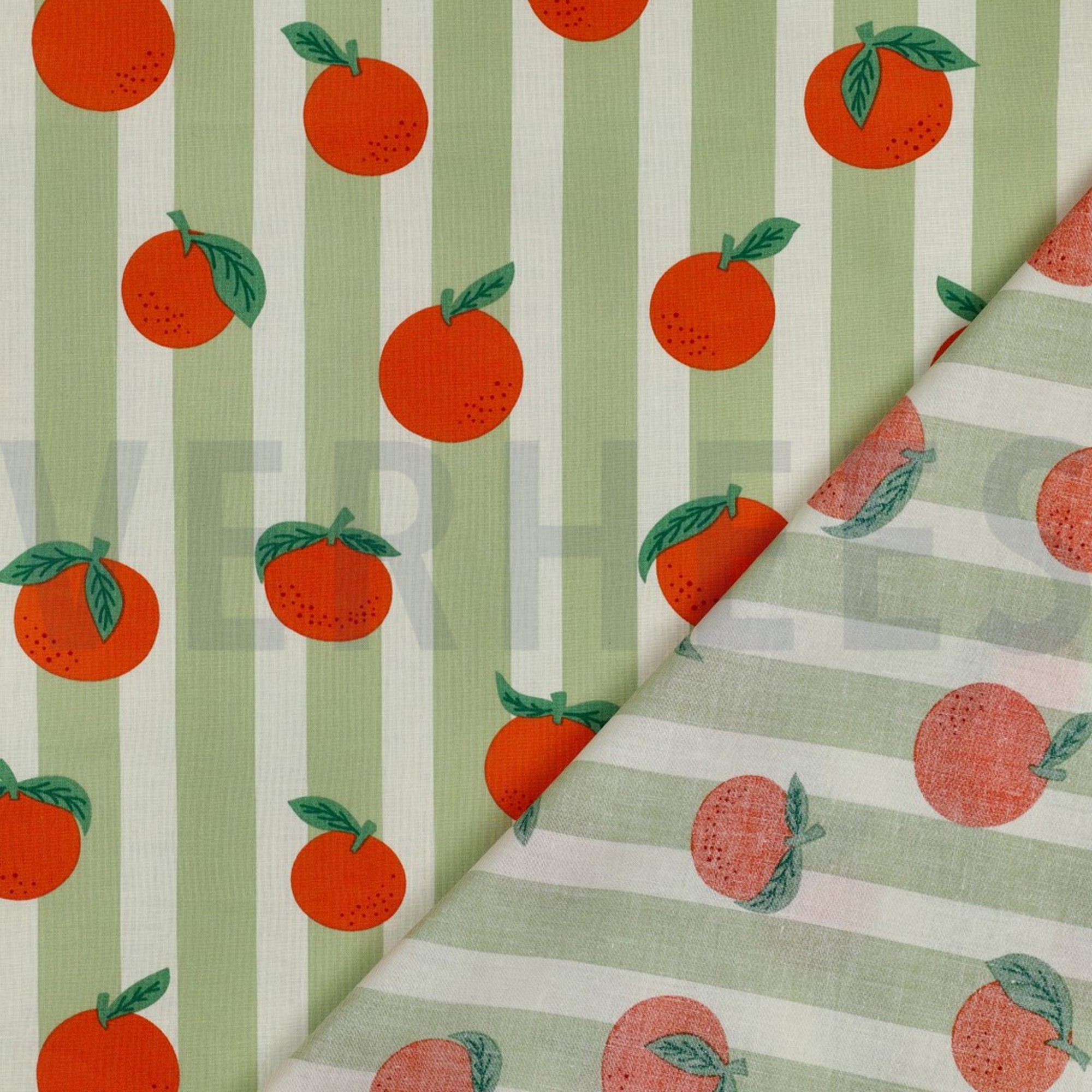 COTON ENDUIT FRUIT VERT (high resolution) #4