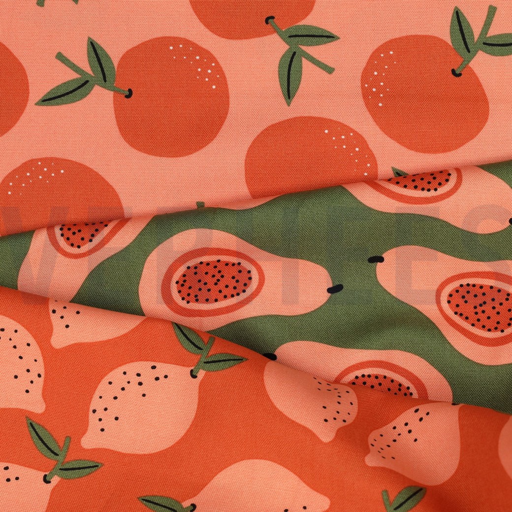 TOILE DÉCORATION FRUIT ORANGE #7