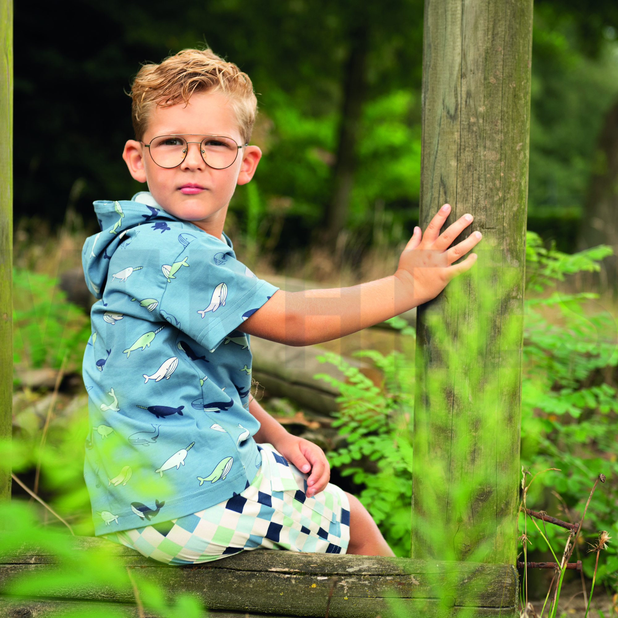 JERSEY WALVISSEN BLAUW (high resolution) #6