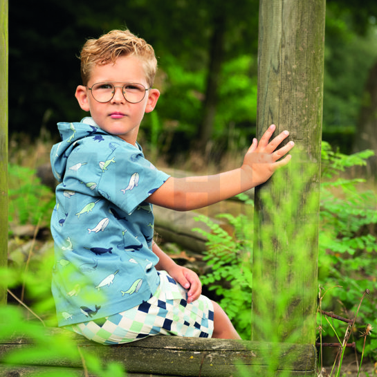 JERSEY WALVISSEN BLAUW #7