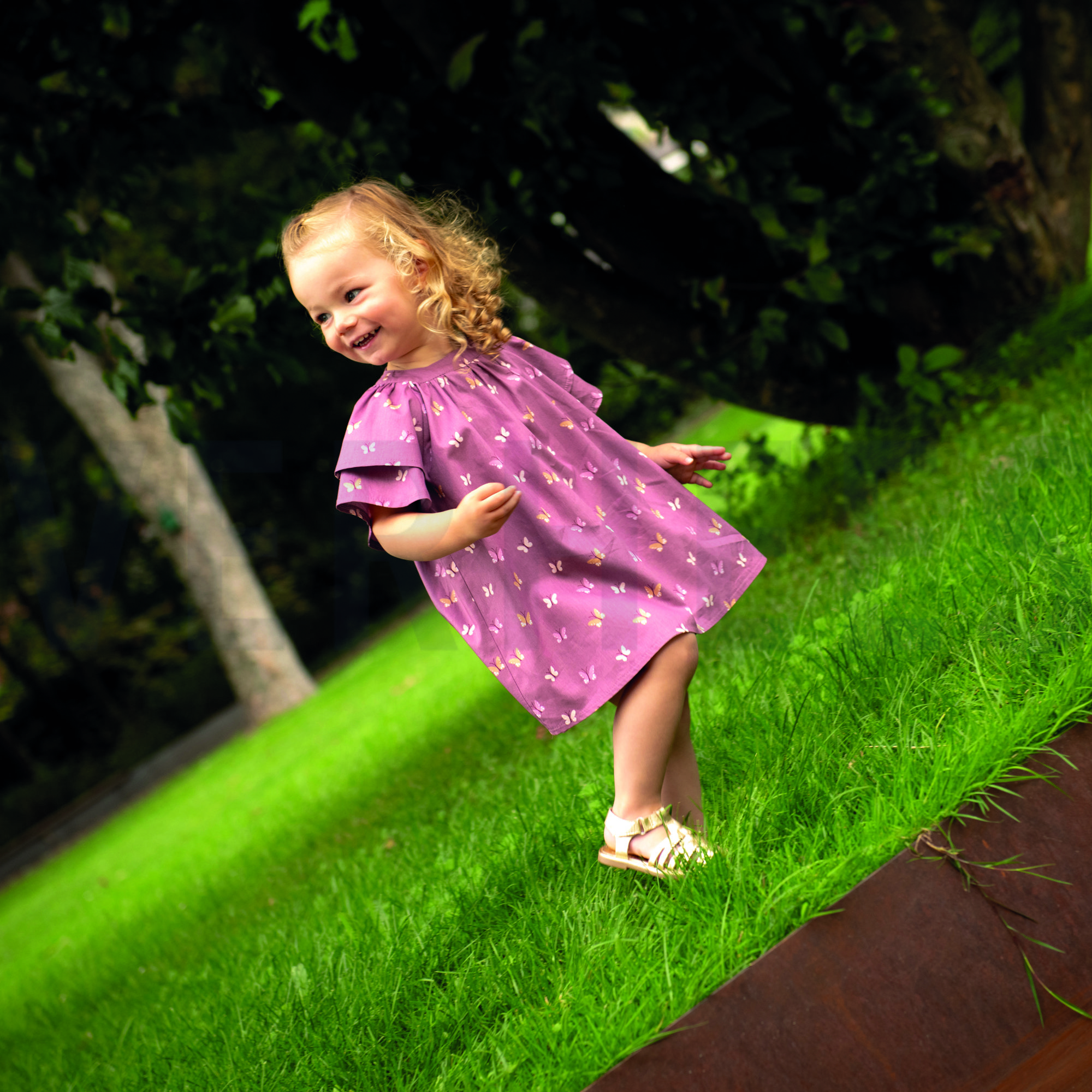 POPLIN GOTS BIRDS AND BUTTERFLIES BLUE (high resolution) #6