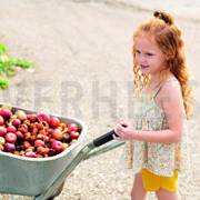 DOUBLE GAZE DE COTON PAISLEY BLANC/LAVANDE (thumbnail) #6