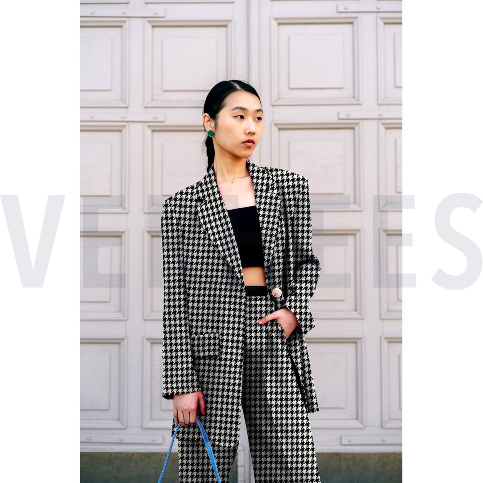 PIED DE POULE ZWART/WIT (high resolution) #7