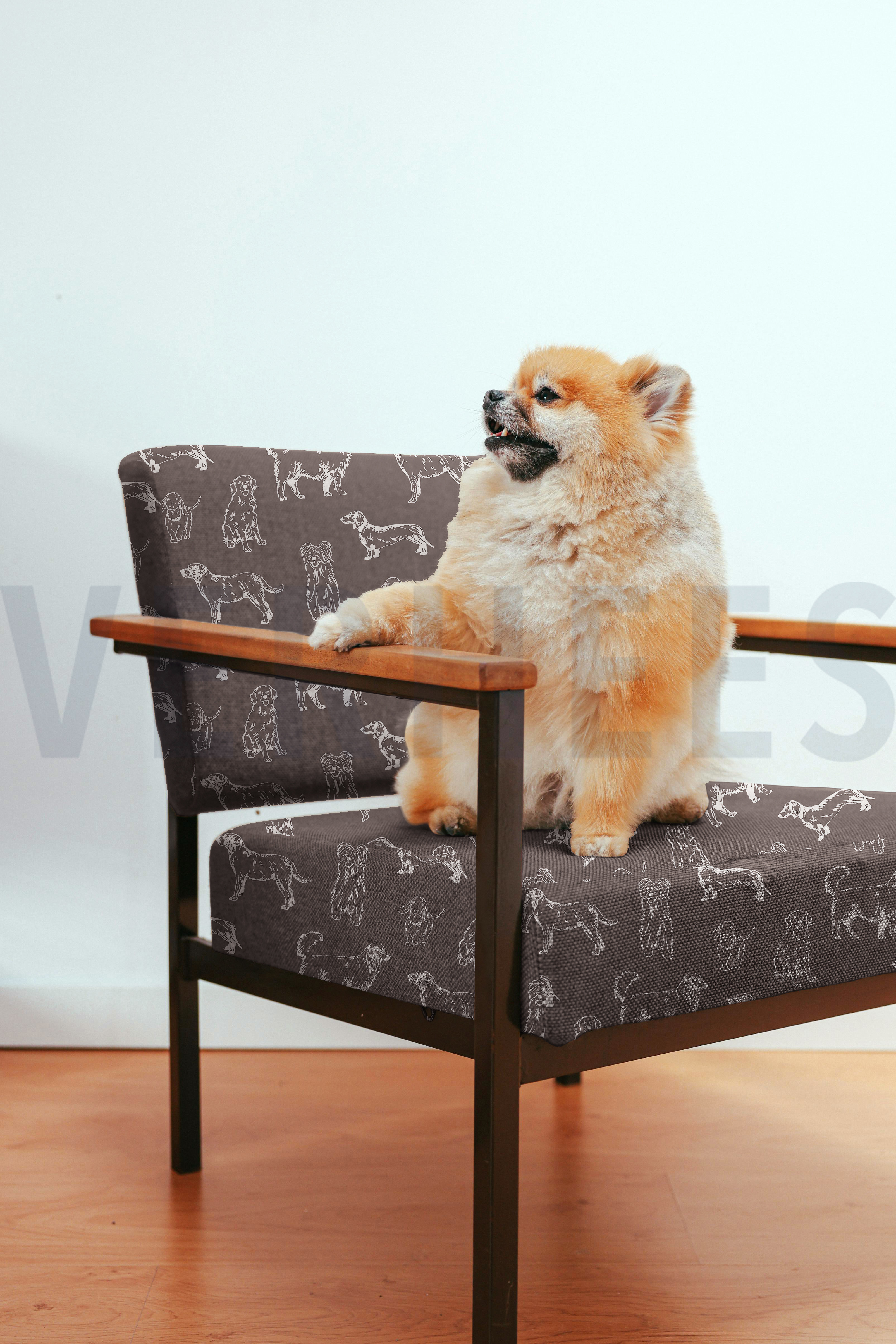 CANVAS HONDEN GROEN #7