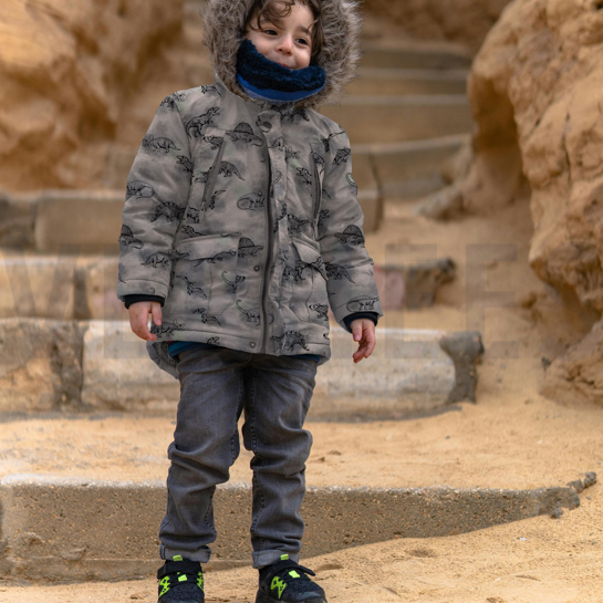 SOFTSHELL DIGITAL DINOSAURS GRIS #7