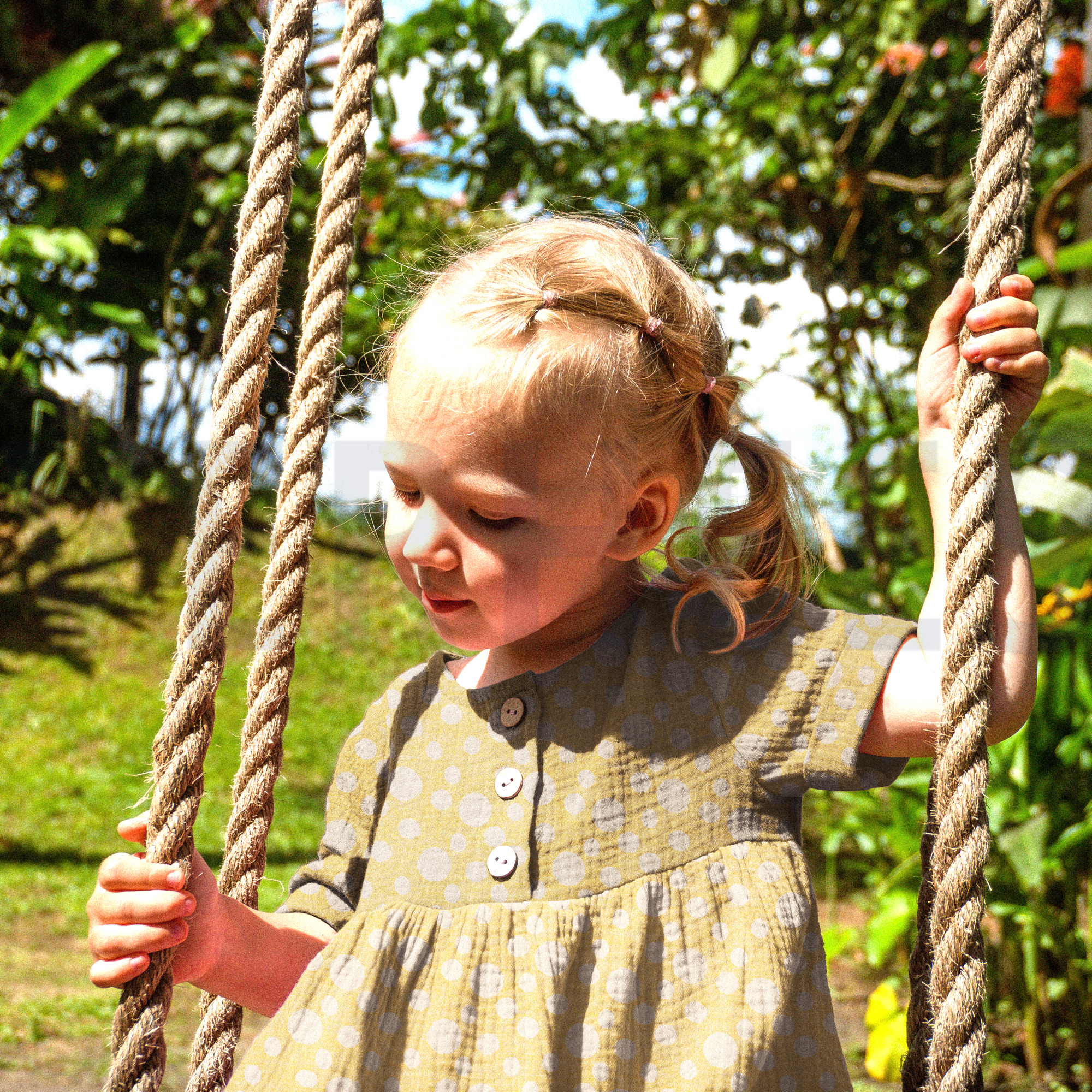 DOUBLE GAUZE JACQUARD DOTS DARK YELLOW (high resolution) #7