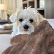 FLEECE HUNDEPFOTEN BEIGE (thumbnail) #7