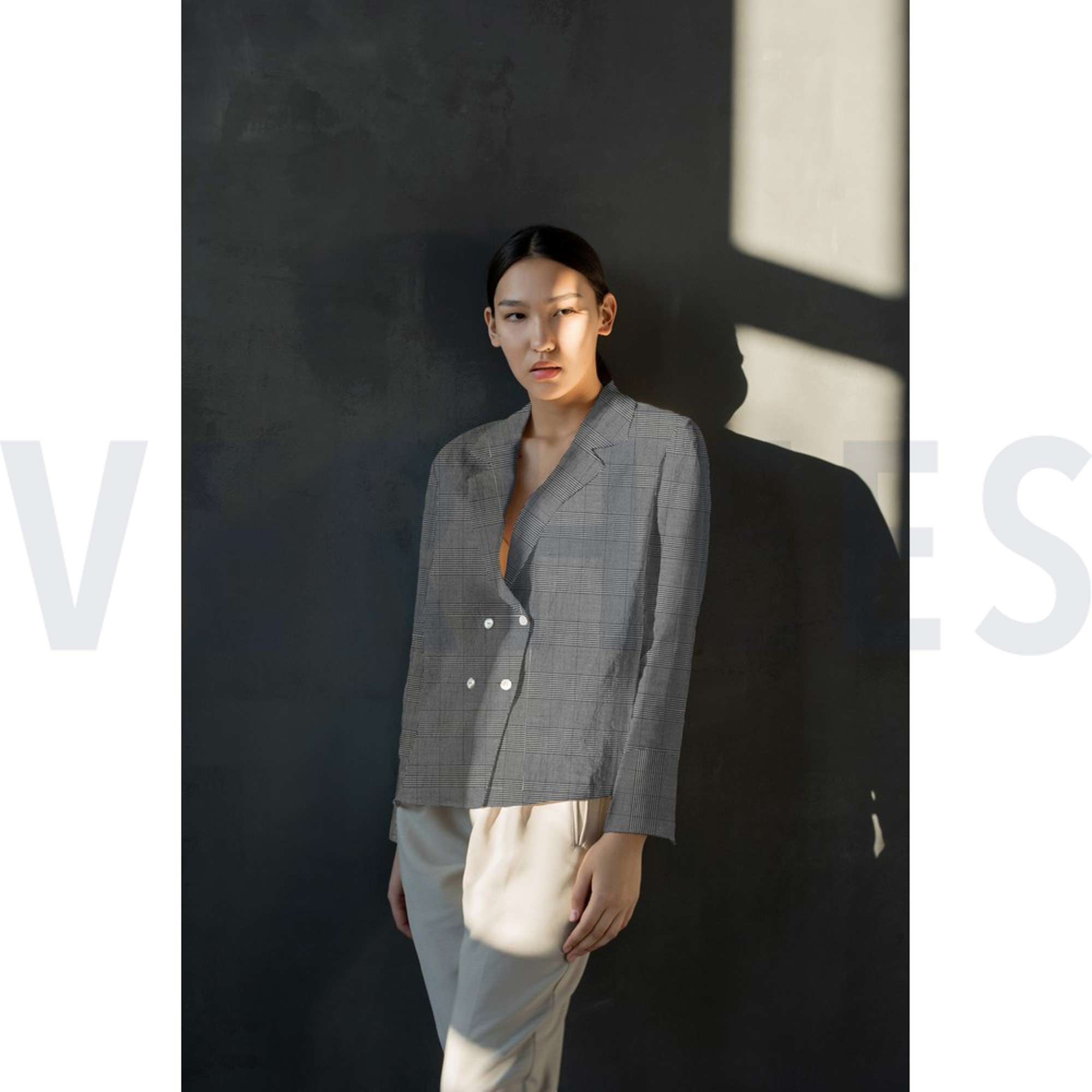 PRINCE DE GALLES DONKERBLAUW/MERLOT (high resolution) #7