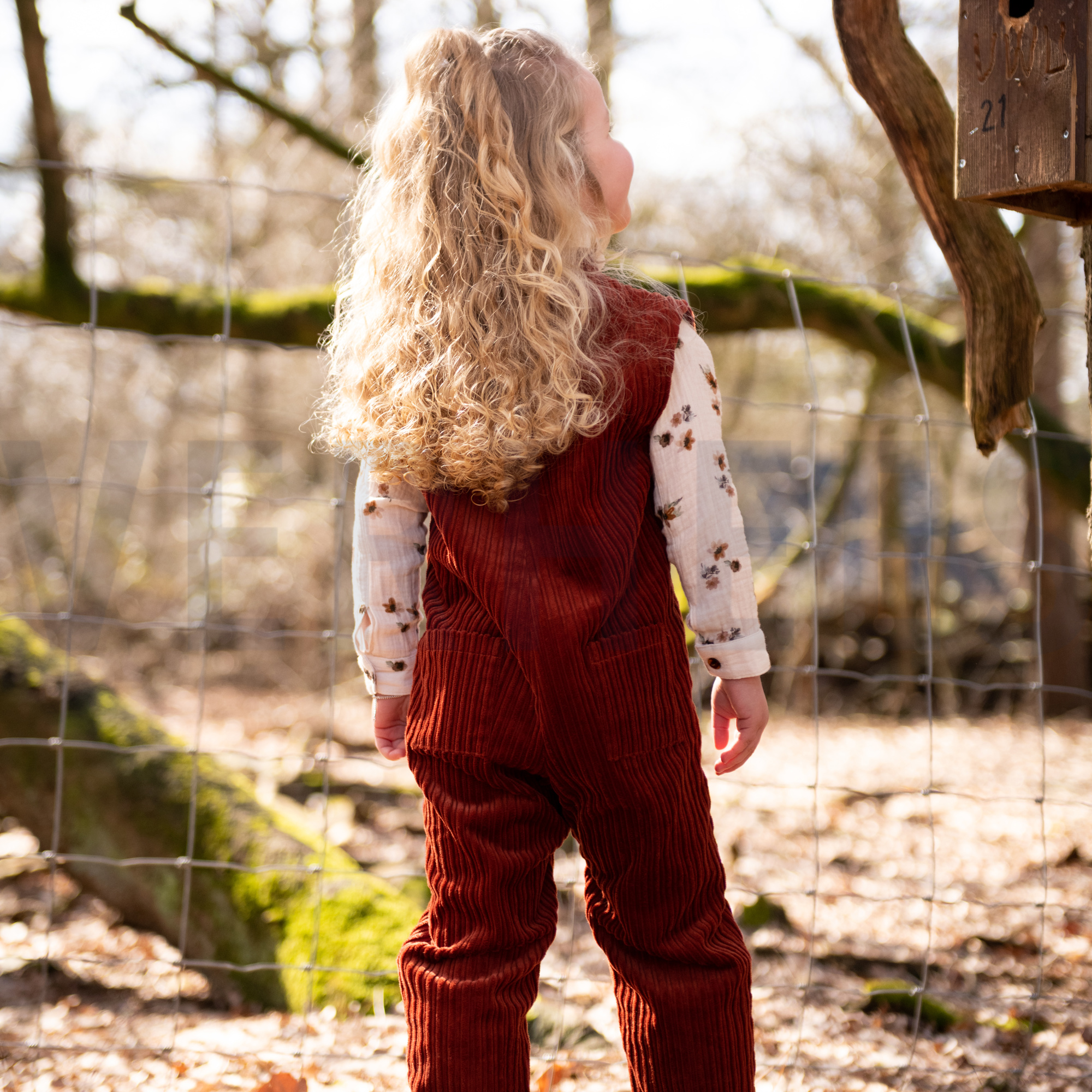 CORD GRAU (high resolution) #7