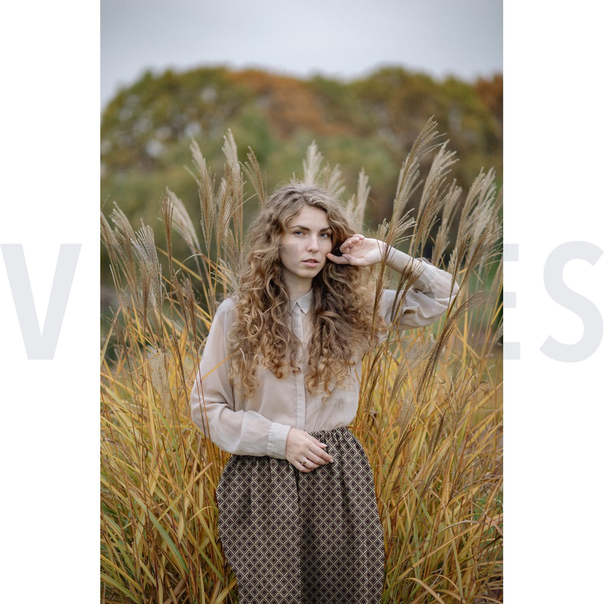 BREISEL JACQUARD MULTI BEIGE (high resolution) #7