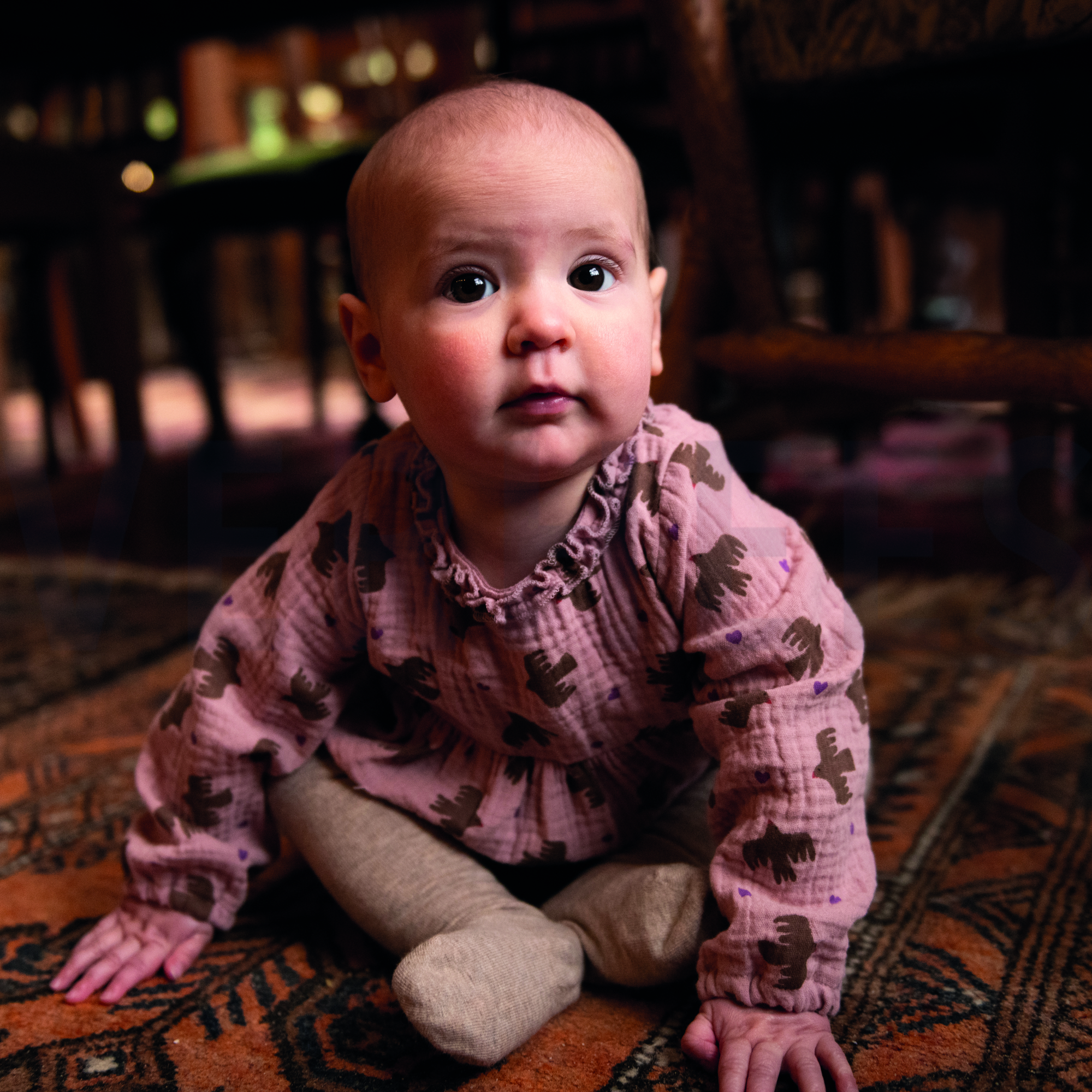 DOUBLE GAUZE GOTS BIRDS NATURAL (high resolution) #7