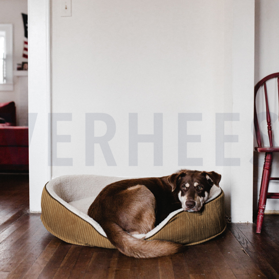 VELOURS DECO CORDUROY CAMEL #7