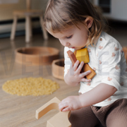 JERSEY VLINDERS LICHT MUNT (thumbnail) #7