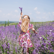 BAUMWOLLE POPELINE DIGITAL EINHÖRNER MAUVE (thumbnail) #7